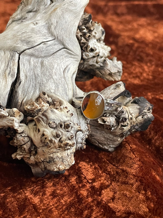 Montana Agate Sterling Silver Ring